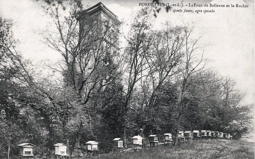 Au temps où les abeilles…